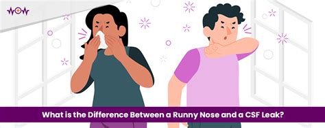 CSF Leak vs. Runny Nose: How to Tell the Difference